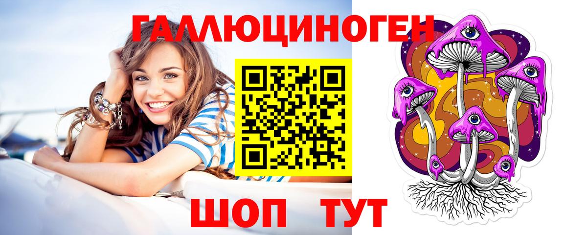 Псилоцибиновые грибы Cubensis Зима